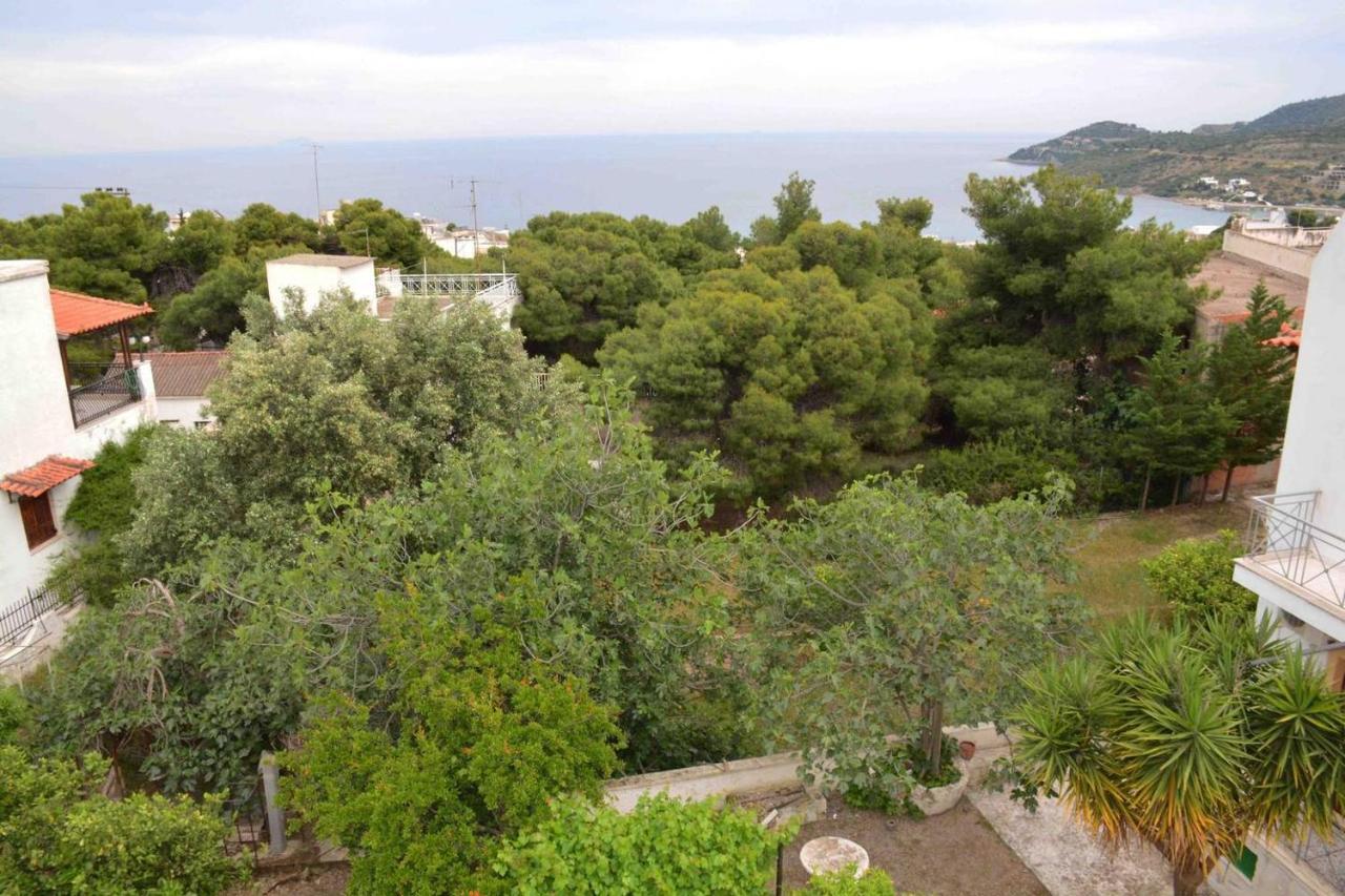 Aelia Houses Agia Marina  Dış mekan fotoğraf